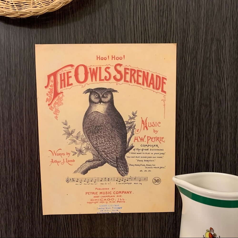 Vintage The Owls Supreme Musical 1894 Poster